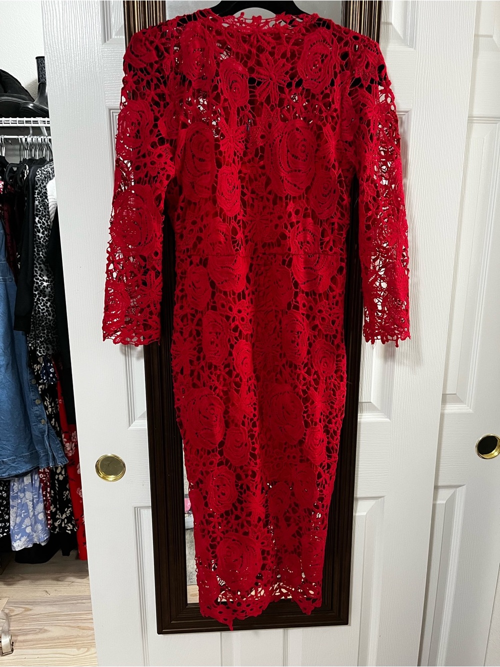 SHEIN Red lace midi dress with rose embroidery